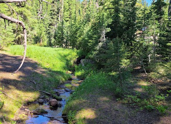 oregon/crater-lake-national-park/attraction/lady-of-the-woods