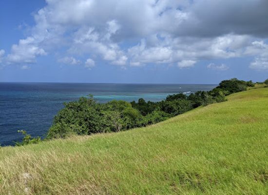 barbados/cherry-tree-hill/attraction/harrison-s-point-light-house