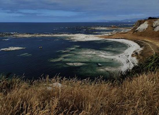 new-zealand/kaikoura/attraction/kaikoura-peninsula-walkway