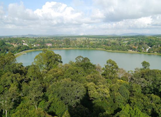 myanmar-burma/chin-hills/attraction/national-kandawgyi-gardens