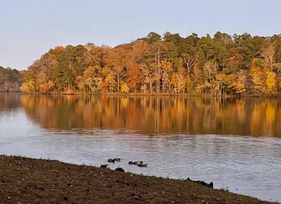 mississippi/the-golden-triangle/attraction/lake-lowndes-state-park