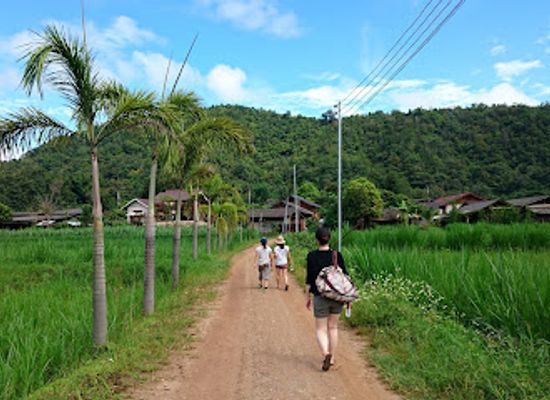 thailand/lanna/attraction/ran-tong-save-rescue-elephant-centre