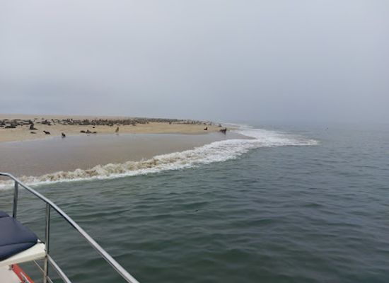 namibia/walvis-bay/attraction/catamaran-dolphin-cruises