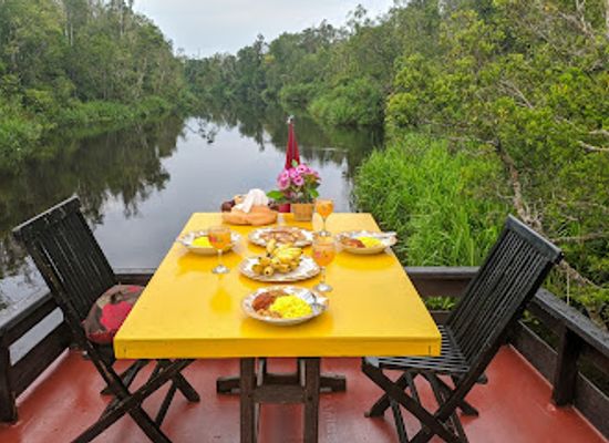indonesia/tanjung-puting-national-park/attraction/orangutan-tour-beborneo-com