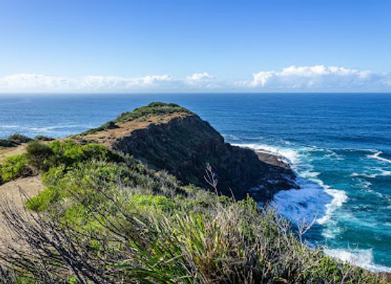 australia/central-coast/attraction/wyrrabalong-national-park