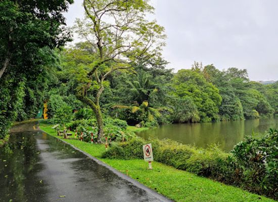 singapore/west-region/attraction/kent-ridge-park