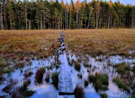 estonia/lahemaa-national-park/attraction/majakivi-pikanomme-loodusopperada-7-km