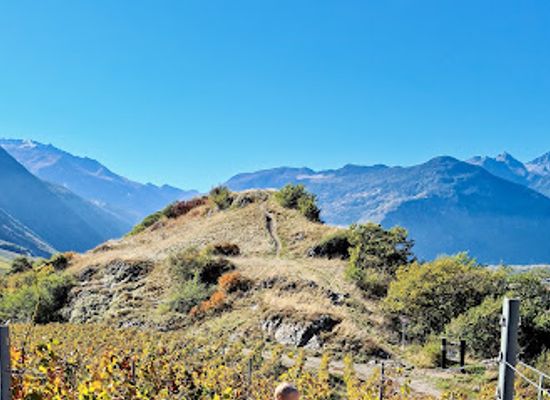 switzerland/verbier/attraction/le-sentier-des-adonis