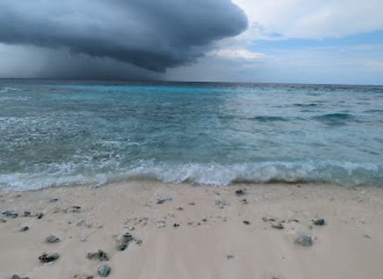 maldives/ukulhas/attraction/bird-feeding-pont