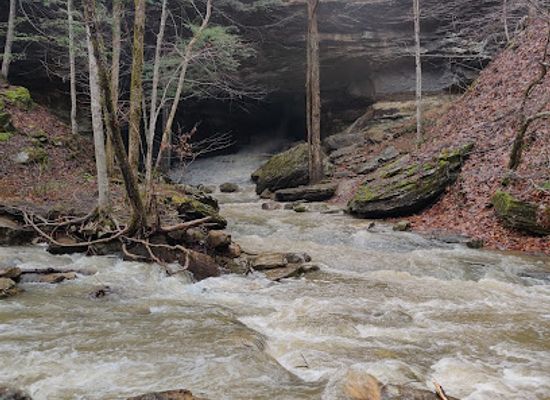 kentucky/carter-caves-state-resort-park/attraction/laurel-cave