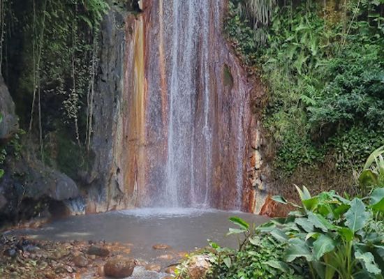 saint-lucia/millet-bird-sanctuary/attraction/constitution-park