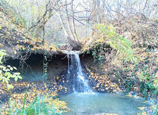 serbia/fruska-gora-national-park/attraction/elvirin-vodopad