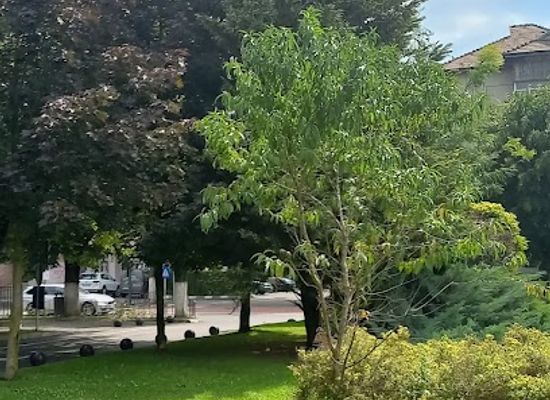 romania/ramnicu-valcea/attraction/parcul-antonio-copetti