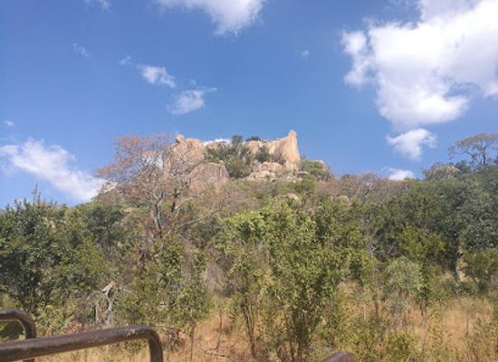 zimbabwe/matabeleland-south/attraction/chipangali-wildlife-orphanage