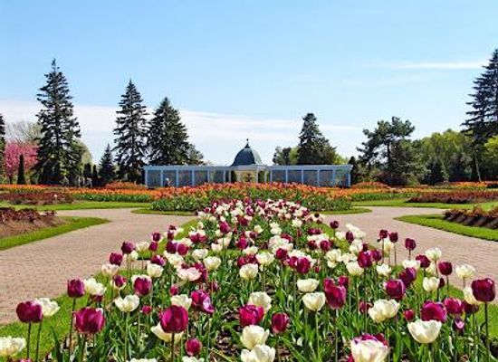 pitcairn-islands/buffalo-town/attraction/niagara-parks-botanical-gardens