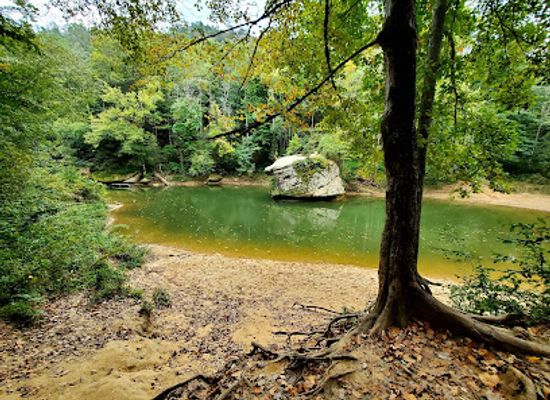 kentucky/northern-kentucky/attraction/sheltowee-trace-trail-north-terminus-section-1