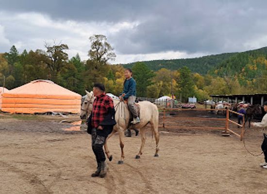 mongolia/khentii-mountains/attraction/mongolian-horse-riding-center