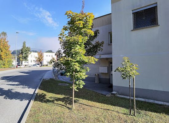 slovenia/rogaska-slatina/attraction/spominska-drevesa