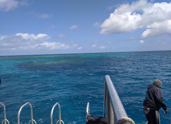 australia/great-barrier-reef/attraction/troppos-dive-site-at-norman-reef