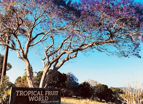 australia/byron-bay/attraction/tropical-fruit-world
