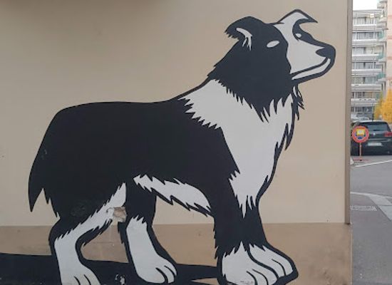 switzerland/lugano/attraction/murales-arte-urbana