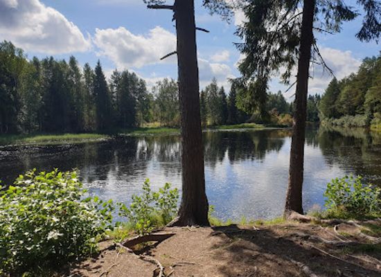 finland/north-ostrobothnia/attraction/sanginjoen-lemmenpolku