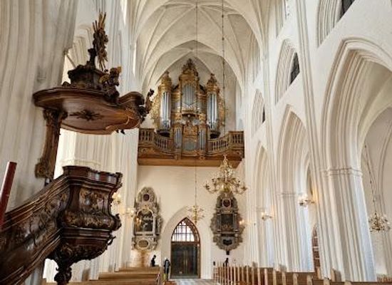 denmark/odense/landmark/odense-cathedral-st-canute-s-church