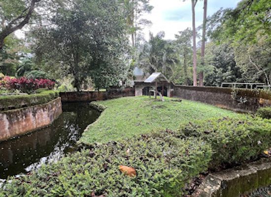 brunei/mukim-batu-apoi/attraction/taman-batang-duri-taman-mini-zoo-temburong