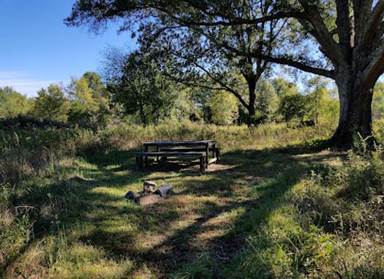 south-carolina/rock-hill/attraction/rock-hill-blackjacks-heritage-preserve-wildlife-management-area