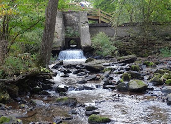 pennsylvania/amish-country/attraction/nolde-forest-sawmill