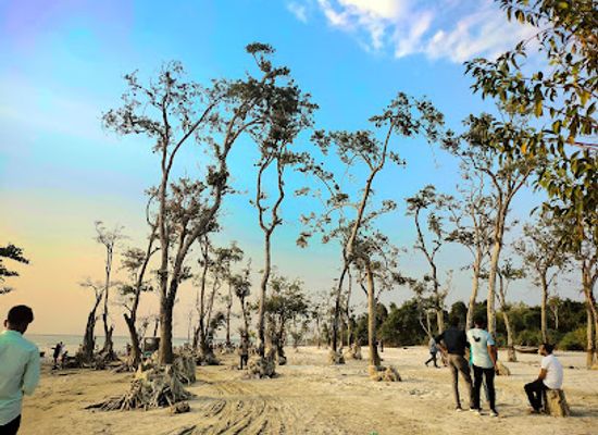 bangladesh/kuakata/attraction/lebur-bon-kuakata