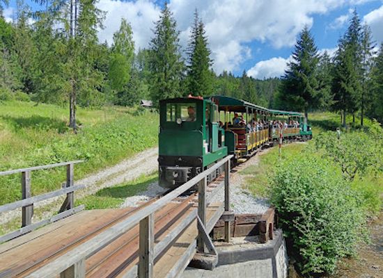 slovakia/kysuce/attraction/historicka-lesna-uvratova-zeleznicka