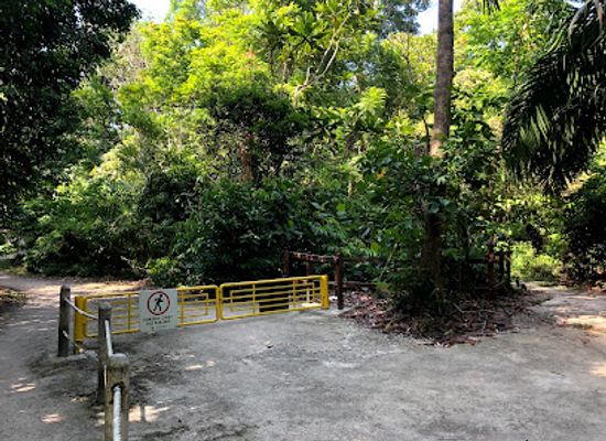 singapore/bukit-batok/attraction/chestnut-nature-park