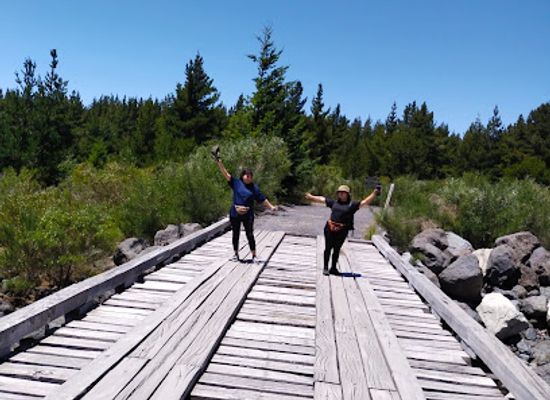 chile/pucon/attraction/el-cerduo