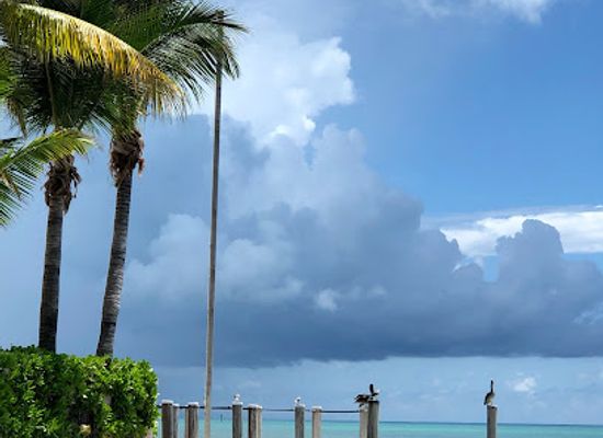 florida/florida-keys/attraction/the-key-west-butterfly-and-nature-conservatory