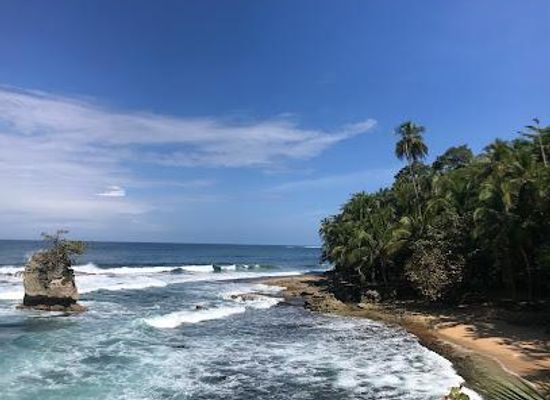 costa-rica/caribbean-coast/attraction/playa-manzanillo