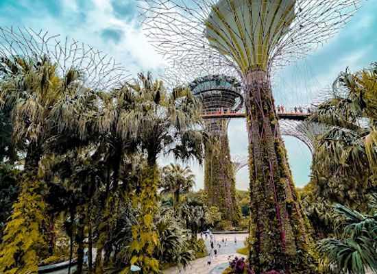 singapore/marina-bay/marina-east/attraction/garden-by-the-bay-bay-east