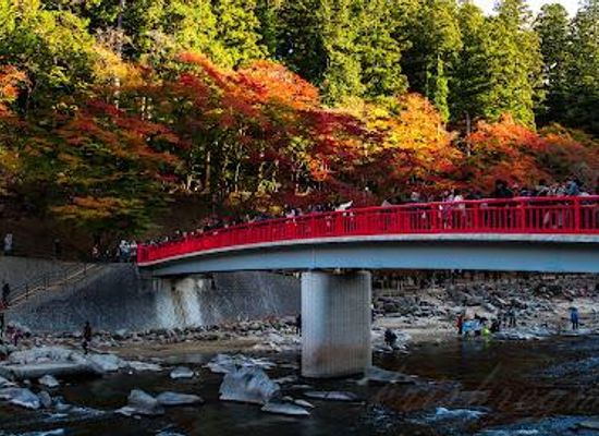 japan/nagoya/attraction/korankei-gorge