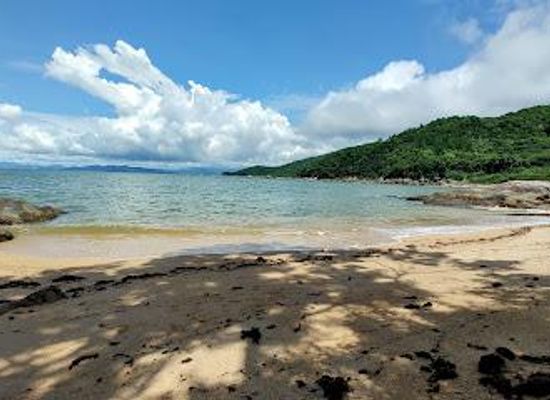 brazil/planalto-meridional/attraction/inicio-trilha-da-costeira-de-zimbros