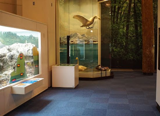japan/aomori/attraction/aomori-prefectural-museum