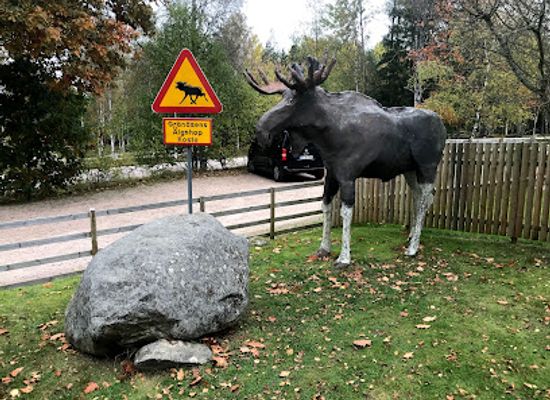 sweden/norrbotten/attraction/gronasens-algpark