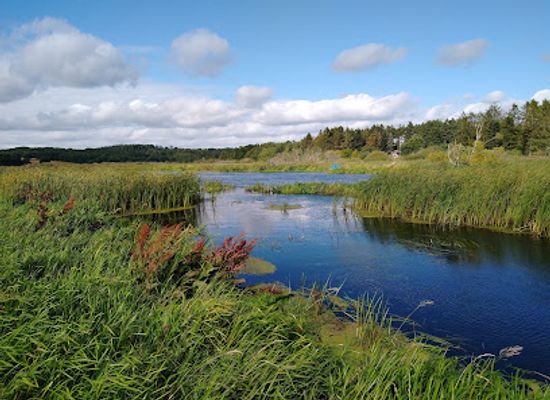 denmark/central-jutland/attraction/trakstien
