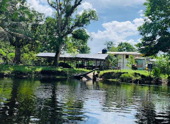 guyana/berbice-river/attraction/speightland-creek