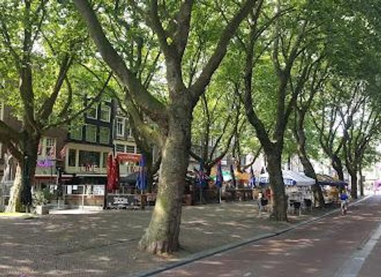 netherlands/vechtstreek/attraction/thorbeckeplein