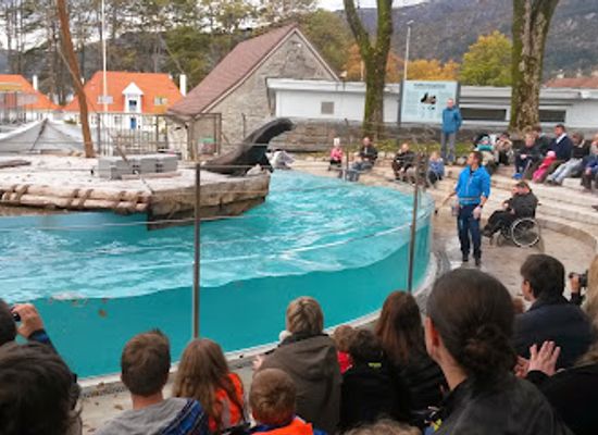 norway/bergen/bryggen/attraction/akvariet-i-bergen-the-national-aquarium
