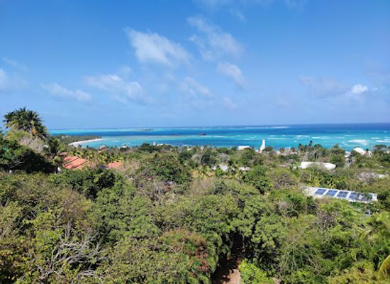 colombia/san-andres-island/attraction/jardin-botanico-de-san-andres