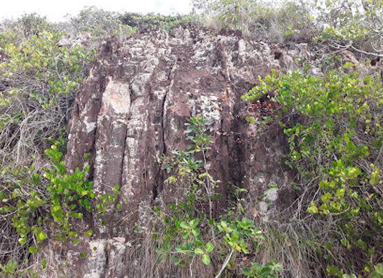barbados/saint-joseph/attraction/haggatts-old-factory-yard