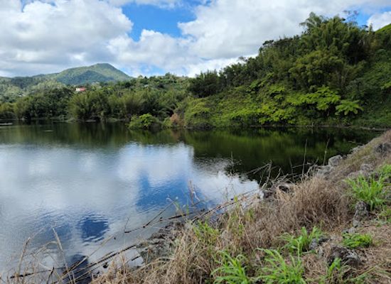 puerto-rico/central-mountain-range/attraction/lago-garzas
