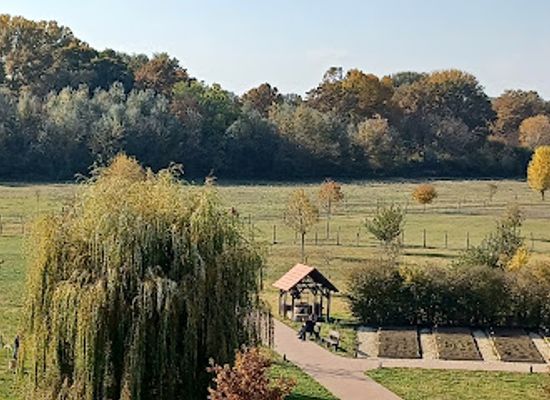 hungary/mecsek/attraction/up-drava-visitor-center