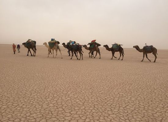 morocco/saharan-morocco/attraction/akabar-sahara-treks-real-authentic-sahara-tours-with-nomads-team